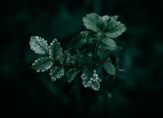 На вихідних Україну накриють дощі та заморозки — де чекати похолодання