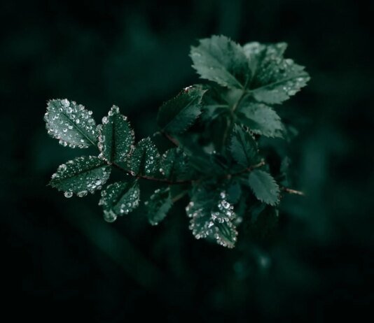 На вихідних Україну накриють дощі та заморозки — де чекати похолодання