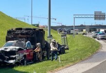 У США мільйон бджіл заблокував з’їзд з автомагістралі після ДТП вантажівки