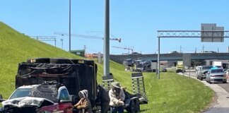 У США мільйон бджіл заблокував з’їзд з автомагістралі після ДТП вантажівки