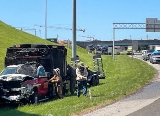 У США мільйон бджіл заблокував з’їзд з автомагістралі після ДТП вантажівки