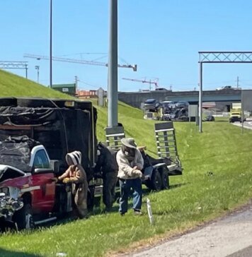 У США мільйон бджіл заблокував з’їзд з автомагістралі після ДТП вантажівки