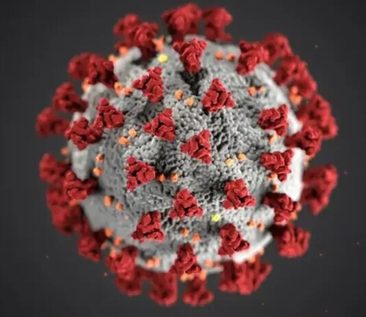 В Україні виявили перший випадок нового субваріанту COVID-19 "Цикада"