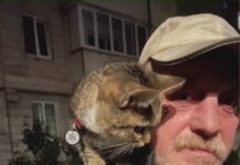 Висаджував дерева, мріяв зустріти День Перемоги та любив дітей – що відомо про сьому жертву "Голосіївського стрільця"