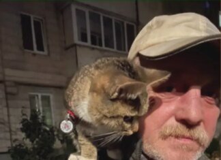 Висаджував дерева, мріяв зустріти День Перемоги та любив дітей – що відомо про сьому жертву "Голосіївського стрільця"