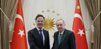 Ердоган заявив генсеку НАТО про зусилля Туреччини відновити переговори між Україною та росією