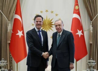 Ердоган заявив генсеку НАТО про зусилля Туреччини відновити переговори між Україною та росією