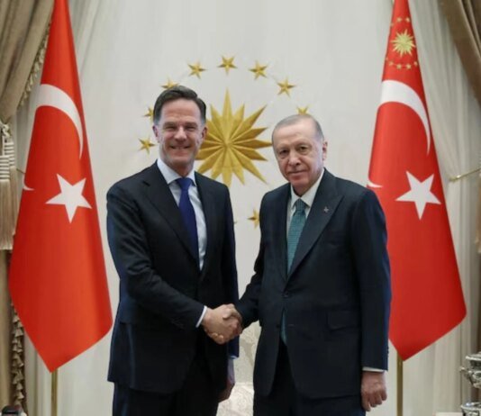 Ердоган заявив генсеку НАТО про зусилля Туреччини відновити переговори між Україною та росією