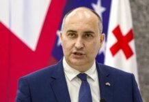 Ексміністра оборони Грузії засудили до 10 років ув’язнення за зловживання та відмивання коштів