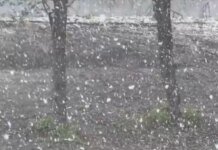 В Україні за тиждень до травня вирішила повернутися зима — у низці регіонів засніжило