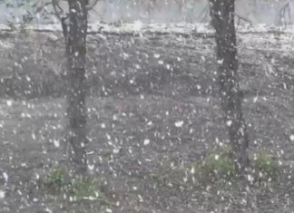 В Україні за тиждень до травня вирішила повернутися зима — у низці регіонів засніжило