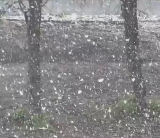 В Україні за тиждень до травня вирішила повернутися зима — у низці регіонів засніжило