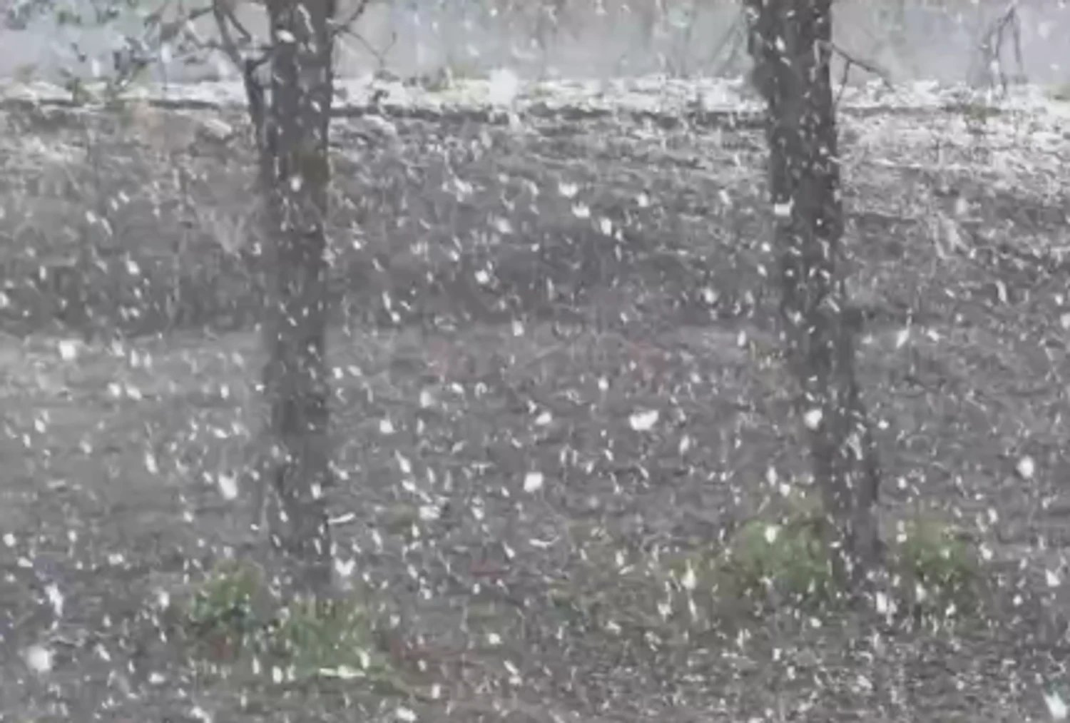 В Україні за тиждень до травня вирішила повернутися зима — у низці регіонів засніжило