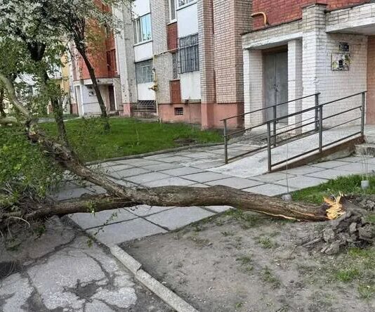 Буревій у Львові та Івано-Франківську повалив дерева