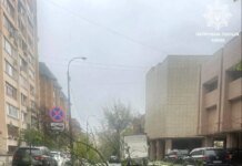 Негода накрила Київ та область: у соцмережах повідомляють про повалений 150-річний каштан та пошкоджений дах