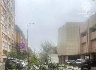 Негода накрила Київ та область: у соцмережах повідомляють про повалений 150-річний каштан та пошкоджений дах