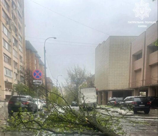 Негода накрила Київ та область: у соцмережах повідомляють про повалений 150-річний каштан та пошкоджений дах