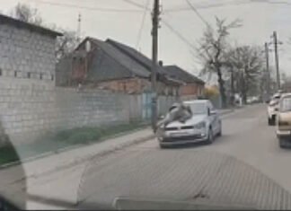 Провез на капоте авто: в Кропивницком водитель сбил военного ТЦК во время проверки (видео)