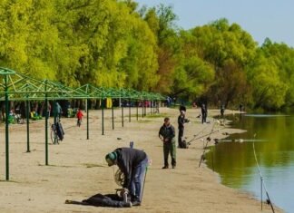 Майже мільйон на пляжі: у Чернігові оголосили тендер на благоустрій зон відпочинку
