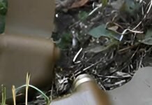 У Новгород-Сіверському районі зафіксували спробу росіян дистанційно замінувати територію