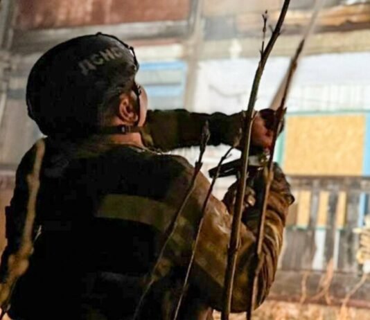 Російські удари по Чернігівщині: сталися пожежі в житловому будинку та господарчій споруді