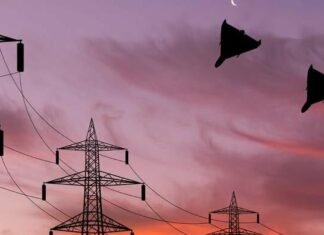 Зафіксовано чотири влучання по енергооб‘єктах на Чернігівщині: критична інфраструктура працює на резервних джерелах