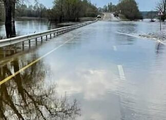 На Чернігівщині через підйом води в Десні підтопило під’їзди до понтонних мостів