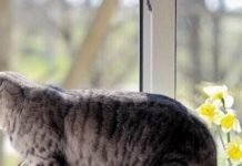 Опалювальний сезон на Чернігівщині добігає кінця: більшість громад уже без тепла