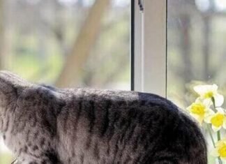 Опалювальний сезон на Чернігівщині добігає кінця: більшість громад уже без тепла