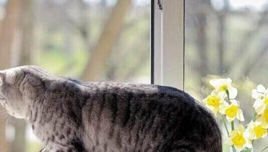 Опалювальний сезон на Чернігівщині добігає кінця: більшість громад уже без тепла