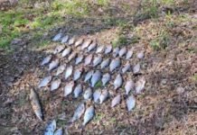 27 кг улову та понад 62 тис грн збитків: на Чернігівщині викрили браконьєра