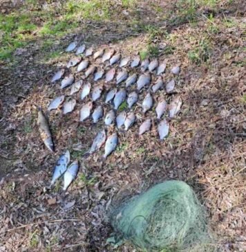 27 кг улову та понад 62 тис грн збитків: на Чернігівщині викрили браконьєра