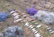 На Десні поблизу Шестовиці затримали браконьєра: натягав риби сіткою на понад 75 тис грн