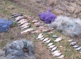 На Десні поблизу Шестовиці затримали браконьєра: натягав риби сіткою на понад 75 тис грн