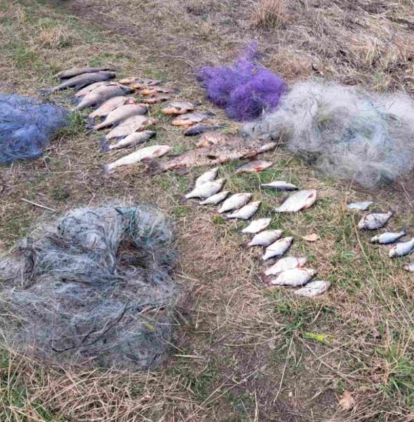 На Десні поблизу Шестовиці затримали браконьєра: натягав риби сіткою на понад 75 тис грн