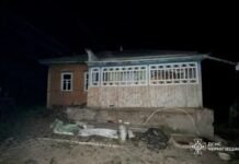 Пожежа в житловому будинку на Чернігівщині забрала життя господаря