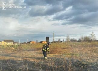 На Чернігівщині на місці пожежі сухої трави виявили тіло чоловіка
