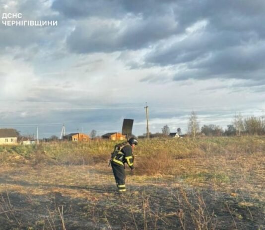 На Чернігівщині на місці пожежі сухої трави виявили тіло чоловіка