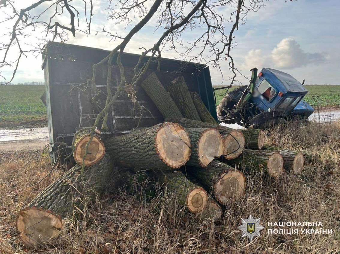 На Ніжинщині чоловіку повідомили про підозру за незаконну порубку дерев на понад 240 тис грн