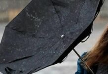 У Чернігові та області прогнозують пориви вітру до 20 м/с