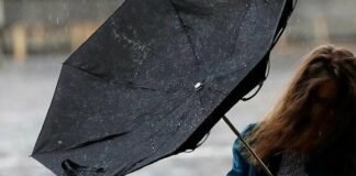 У Чернігові та області прогнозують пориви вітру до 20 м/с