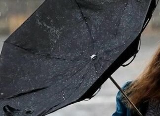 У Чернігові та області прогнозують пориви вітру до 20 м/с