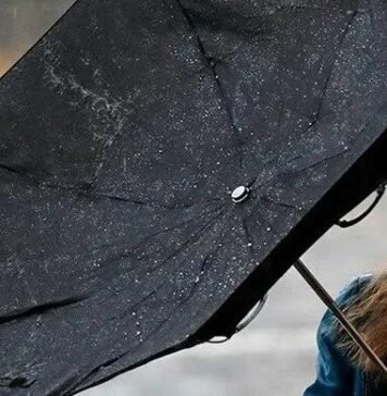 У Чернігові та області прогнозують пориви вітру до 20 м/с