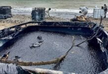 Нефтяное пятно из Туапсе приближается к дворцу Путина в Геленджике