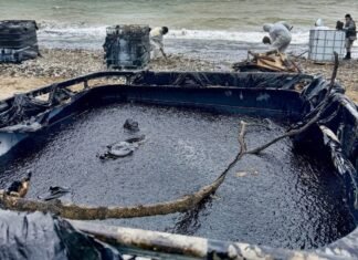 Нефтяное пятно из Туапсе приближается к дворцу Путина в Геленджике