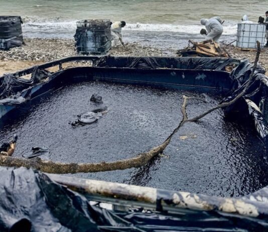 Нефтяное пятно из Туапсе приближается к дворцу Путина в Геленджике