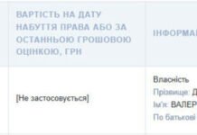 Із транспорту володіє лише мотоциклом «Мінськ»: аналіз декларації нардепа Дубіля
