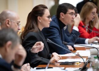 «Договорились». Кабмин и Рада согласовали законопроекты для Ukraine Facility и программы МВФ