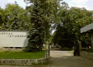 Кабмин поможет погасить долги киностудии Довженко