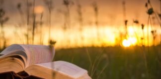 В США и Британии растет популярность книжных ретритов: люди платят по $1000